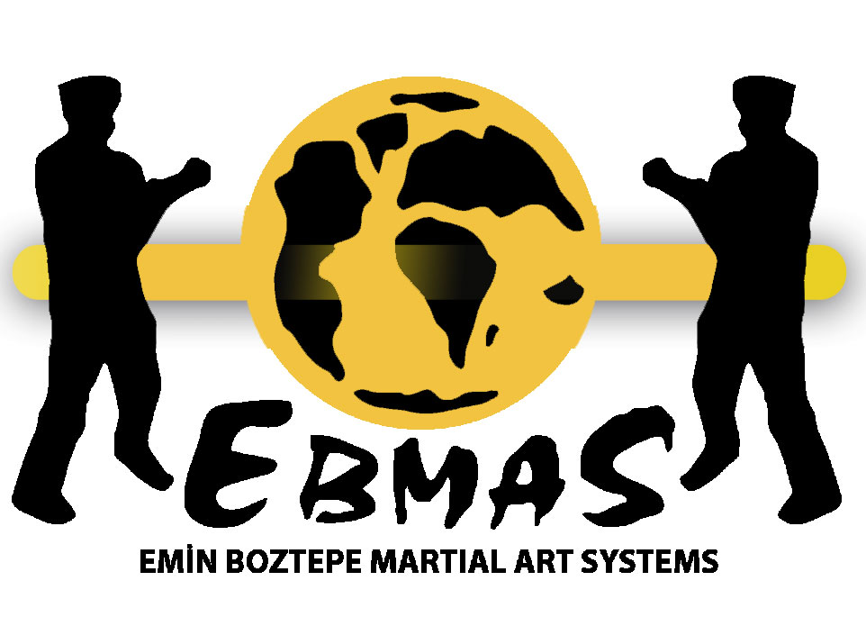 EBMAS
